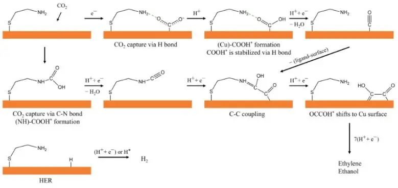 ​JACS: 氨基硫醇配体-金属界面立大功，显著增强CO2捕获与转化