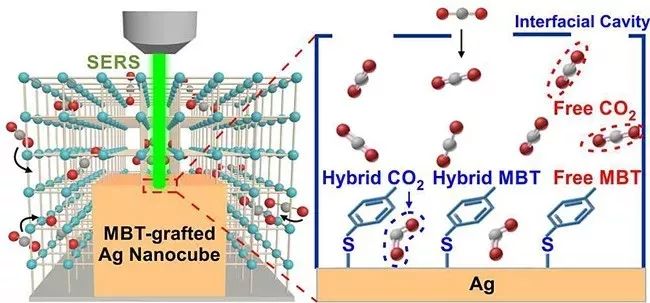 学术动态｜金属表面CO2聚集形成准凝聚态相