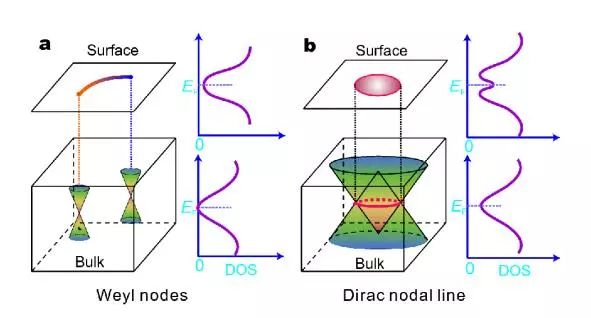 学术动态｜拓扑量子催化: TiSi家族的拓扑节线态和潜在催化析氢性能
