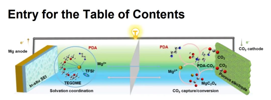 ​郭再萍Angew：酰胺介导的二氧化碳捕获化学和 Mg2+ 导电固态电解质中间层实现稳定镁-二氧化碳电池