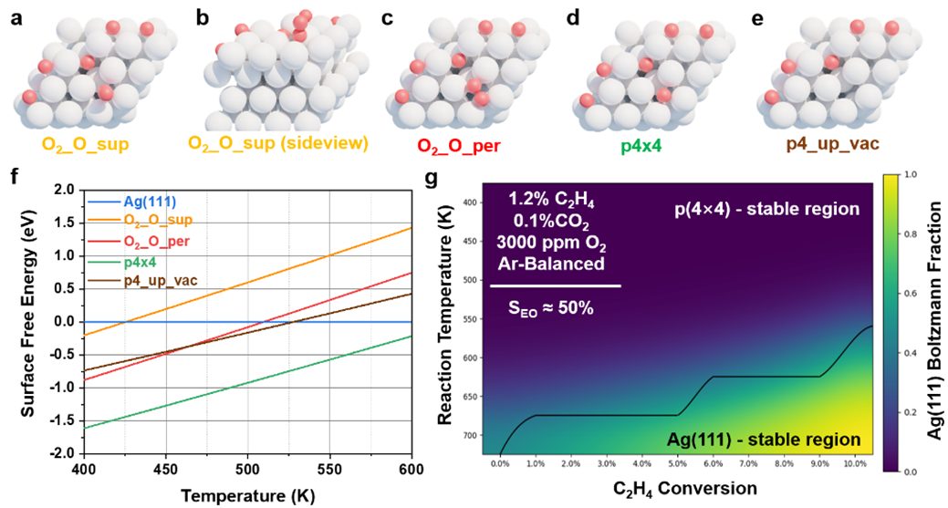 ACS Catalysis：原位拉曼+SSITKA，银催化乙烯环氧化的全新机理解析