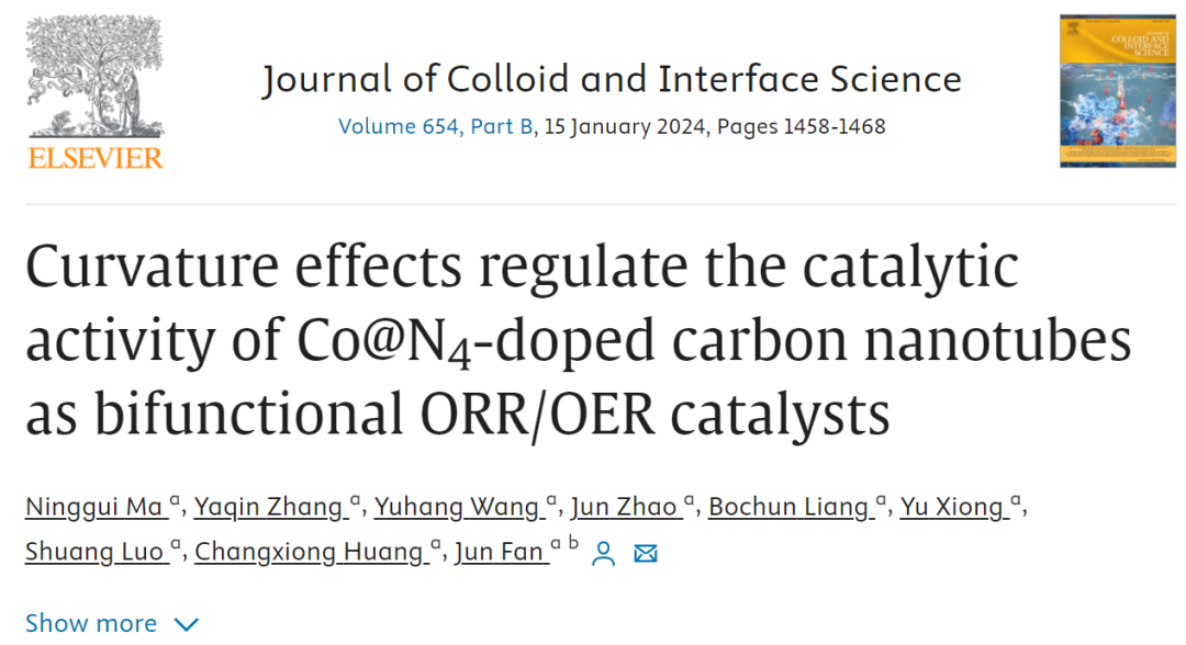 香港城市大学JCIS：曲率效应调节Co@N4掺杂碳纳米管作为双功能ORR/OER催化剂