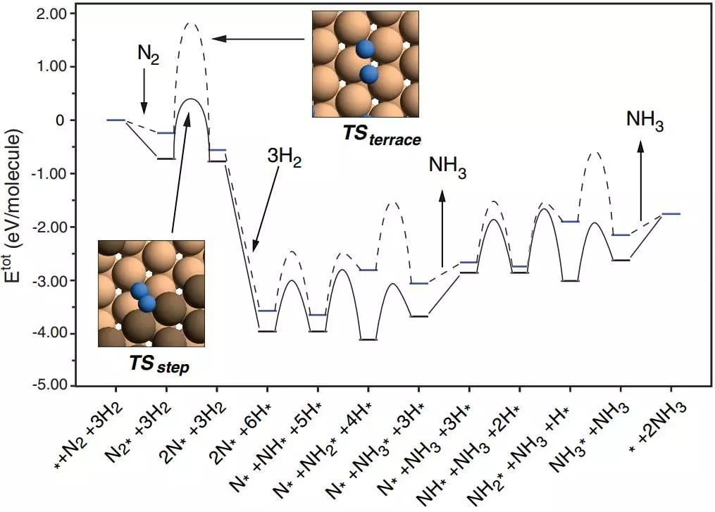 理论计算中的微观动力学,来看这些催化反应路径有多美! 理论计算中的微观动力学,来看这些催化反应路径有多美!