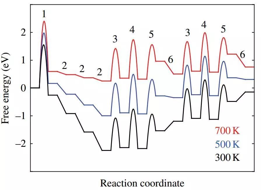理论计算中的微观动力学,来看这些催化反应路径有多美! 理论计算中的微观动力学,来看这些催化反应路径有多美!