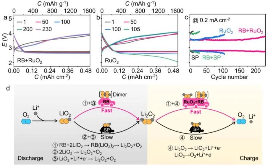 南开大学Angew：Li-O2电池超氧化物歧化反应的新途径！