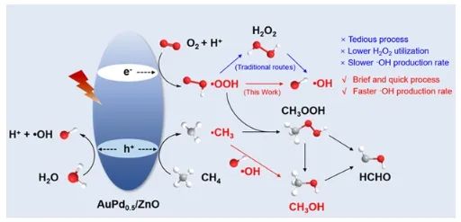 吴文婷/吴明铂ACS Catalysis：O2在Au-Pd/ZnO上快速转化为•OH，促进光催化CH4氧化制CH3OH