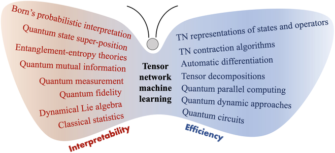国科大&首师大合作综述，「白盒」张量网络：增强量子机器学习的可解释性和效率