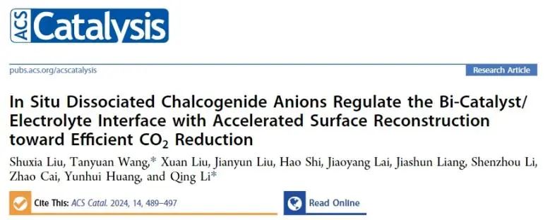 华中科技大学ACS Catalysis：S2−加速表面重建来调节催化剂/电解质界面，实现高效CO2RR