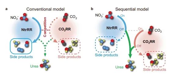 北大/电子科大Nature子刊：NC催化剂触发NO3−和CO2顺序还原，实现选择性尿素电合成