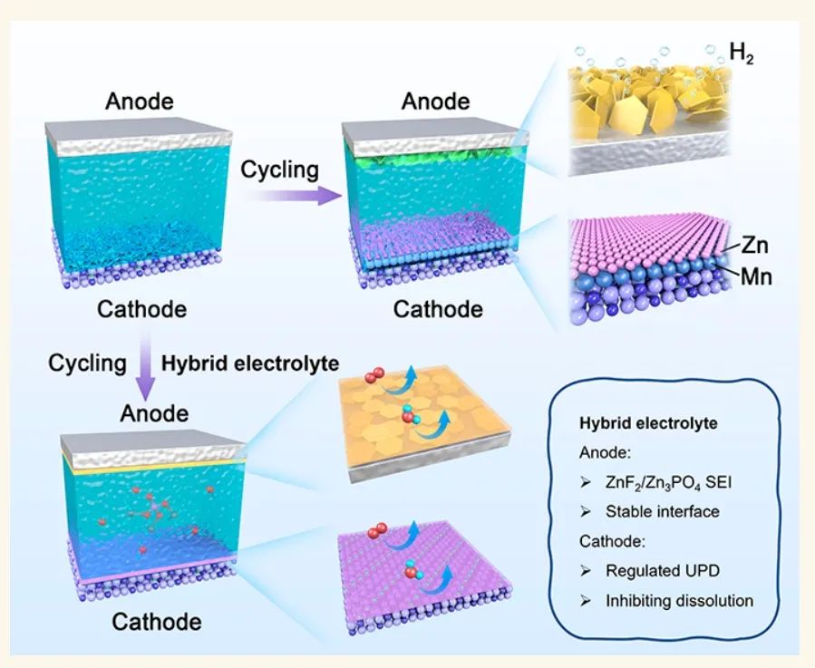 ​北理陈人杰ACS Nano：正极负极界面设计实现高稳定水系/有机系混合电池