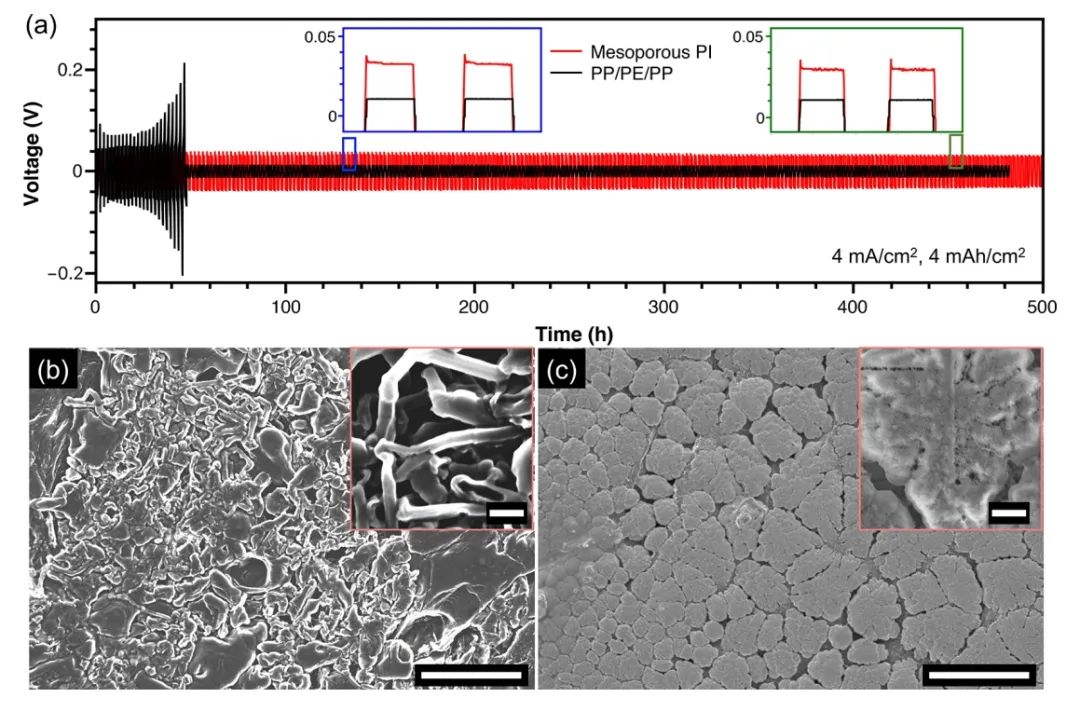​弗吉尼亚理工ACS Nano：介孔聚酰亚胺隔膜抑制锂枝晶生长