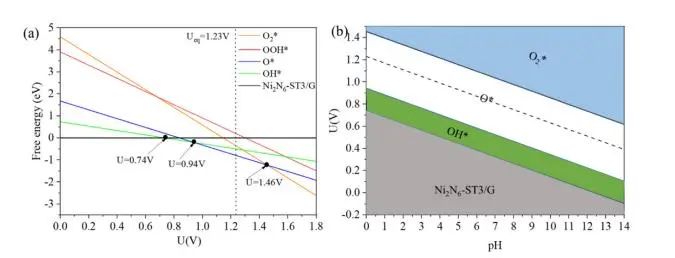 【纯计算】Int. J. Hydrogen Energy：相邻双NiNx位点对提高燃料电池质子交换膜氧还原反应活性的协同作用
