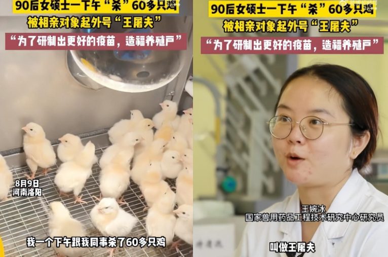 女研究生为做实验一下午杀60多只鸡, 被相亲对象起名“屠夫”后果断分手...