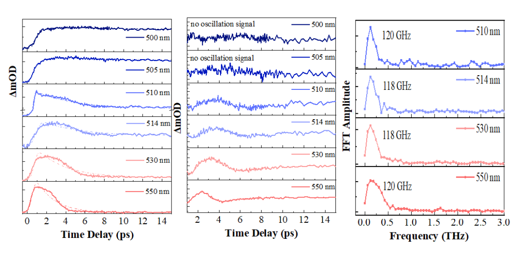 【DFT+实验】物理所翁羽翔团队：飞秒可见至中红外宽谱探测CdS单晶的电子和空穴极化子