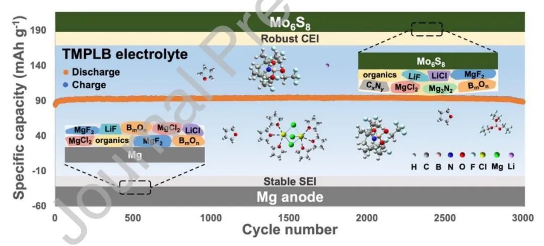 ​上交EnSM：硼基电解质赋予镁电池优越的界面化学