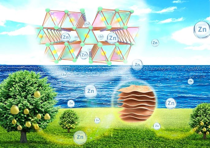 华北电力/中科院Nano Micro-Letters：生物质碳集成策略开发生物兼容性水系Zn-MnO2电池正极