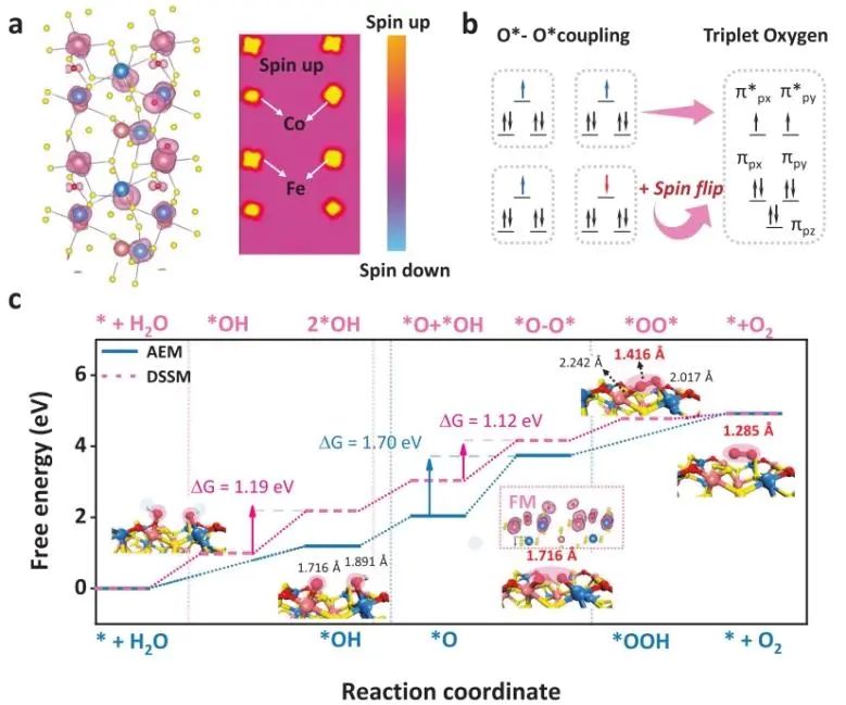 郑州大学Nature子刊：双位点分段协同催化，增强CoFeSx纳米团簇对水的持续氧化