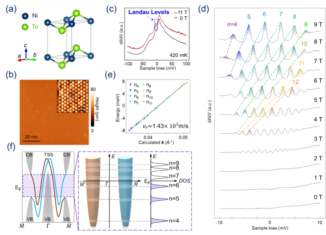 【DFT+实验】Nano Lett. | 应力调控过渡金属硫属化合物的拓扑表面态及其朗道量子化