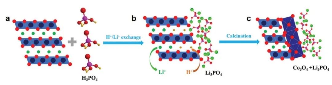 ​广工大AFM：H+/Li+离子交换诱导尖晶石离子导电层实现高能硫化物基全固态锂电池