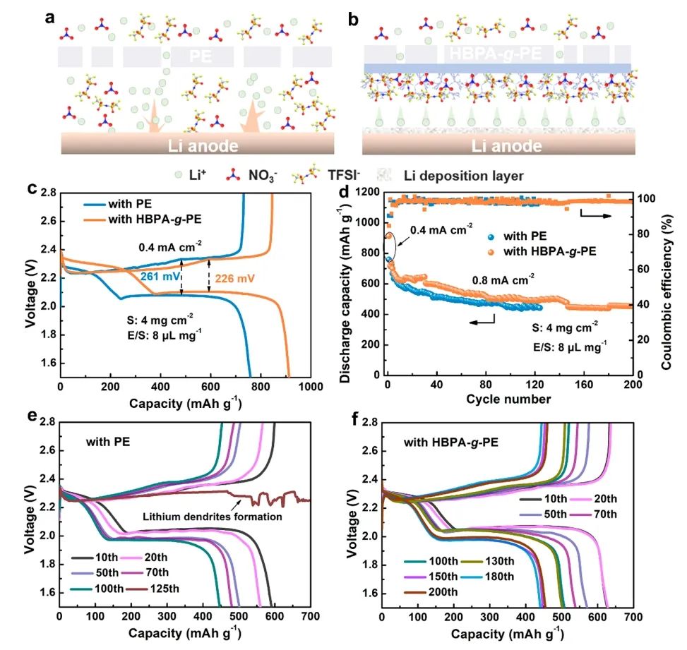 ​武大Nano Letters：分子级阴离子和锂离子的两性聚合物隔膜用于高倍率锂金属电池