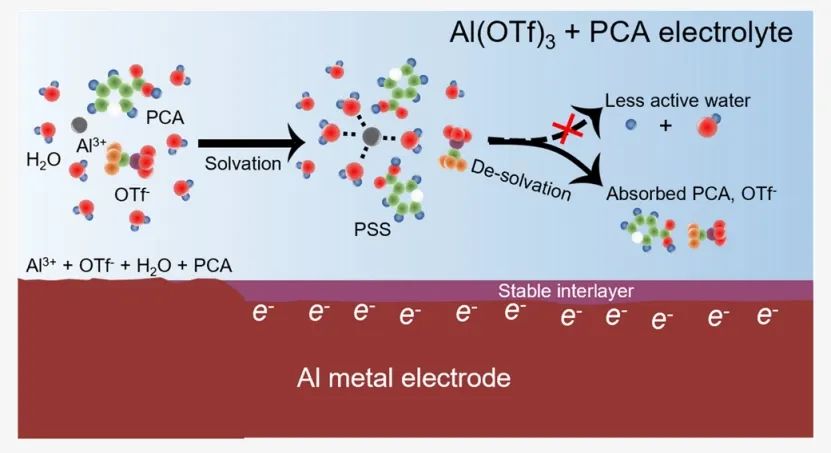 ​复旦余学斌JACS：高可逆水系铝金属电池的溶剂化结构调控