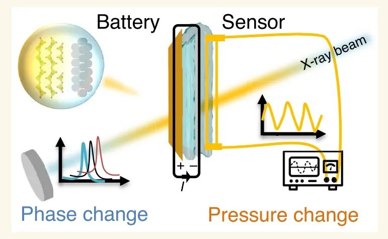 ​西工大马越ACS Nano：多功能健康监测电子设备的水凝胶电解质用于柔性锌离子电池