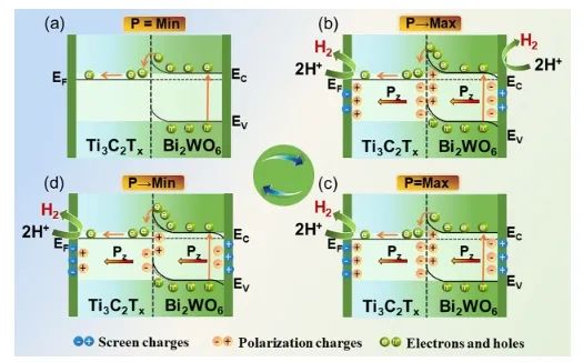 新大Nano Letters: 构建MXene/Bi2WO6肖特基结，实现高效压电催化HER