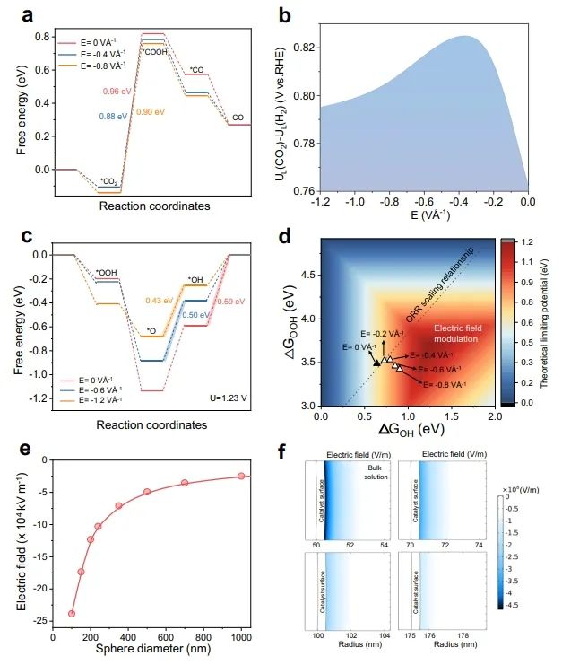 Nature子刊：计算+实验！证实纳米曲率诱导的场效应能够控制单原子催化剂的活性