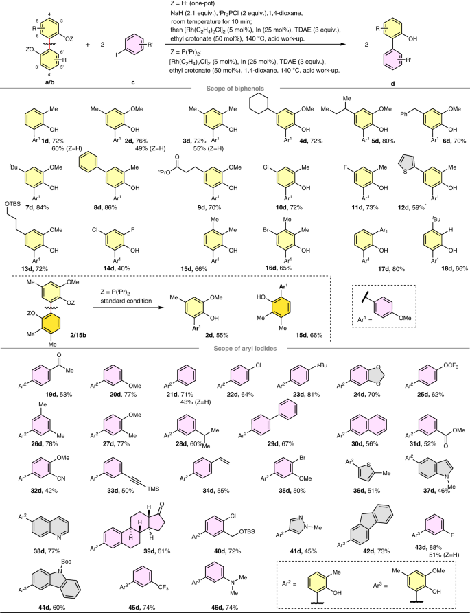 Nature Catalysis: 基于铑催化的非应变芳基-芳基键活化的分裂交叉偶联策略