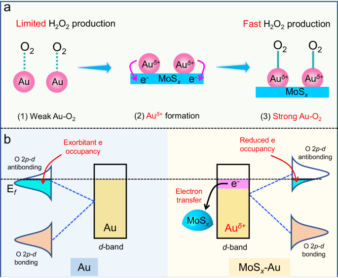 余火根团队Nature子刊：调控电子结构，增强光催化H2O2合成！