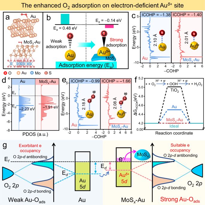 余火根团队Nature子刊：调控电子结构，增强光催化H2O2合成！