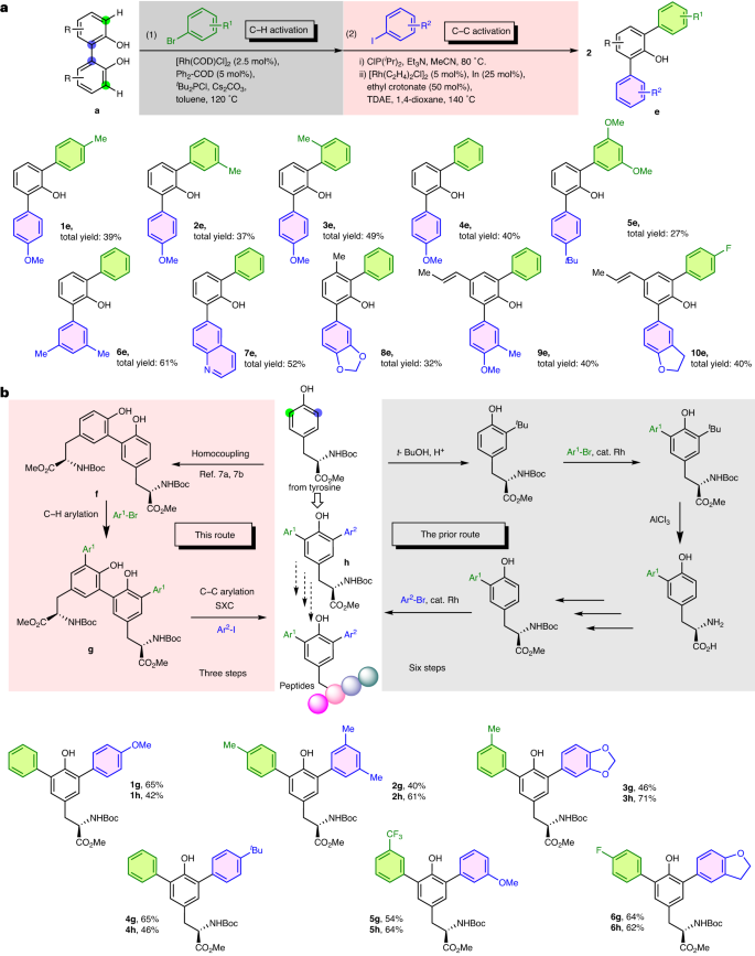 Nature Catalysis: 基于铑催化的非应变芳基-芳基键活化的分裂交叉偶联策略