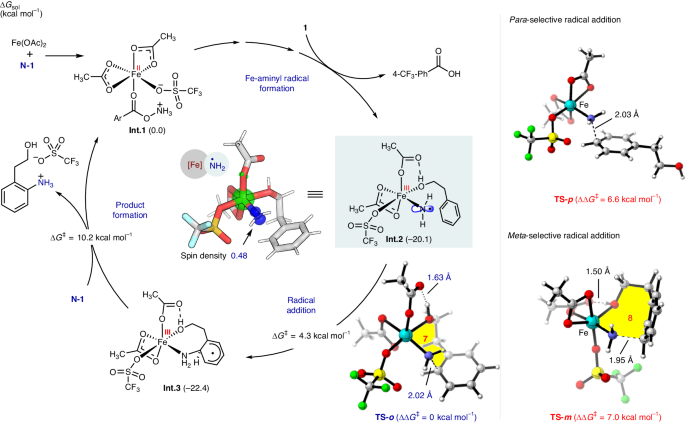 南开大学Nature Catalysis: 铁-氨基自由基实现高选择性芳烃C-H胺化反应
