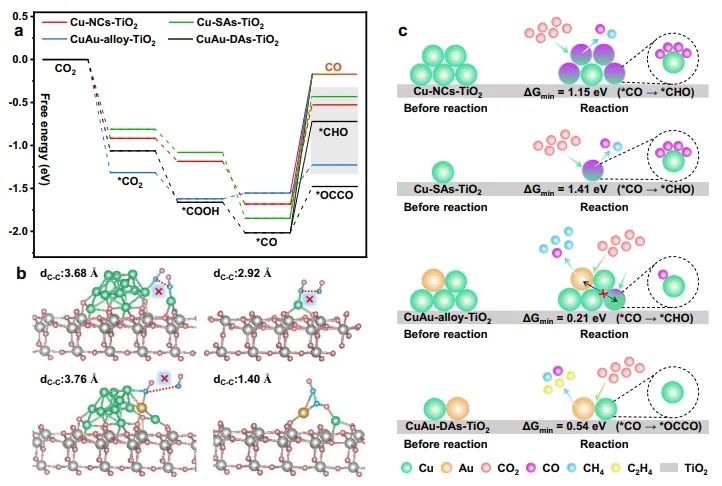 宋术岩/施伟东Nature子刊：CuAu双原子协同作用，高效稳定光催化CO2转化为C2H4
