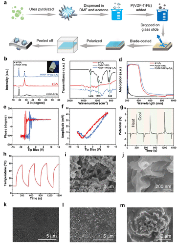 林志群/谢燕楠等Nano Letters：热电性质和光催化协同作用，提升光催化消毒效果！