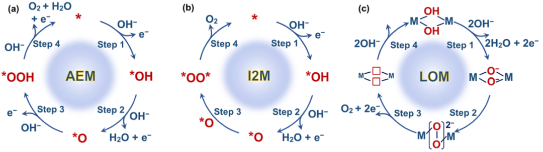 IF=46.2！Chem. Soc. Rev.最新综述：过渡金属基电催化剂OER各种机制！