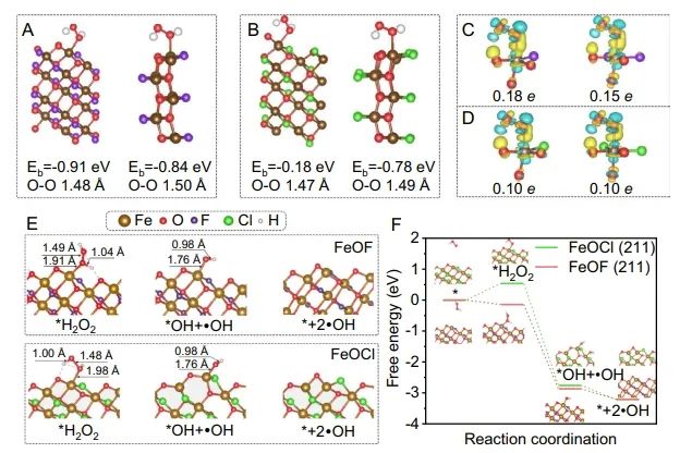 ​上交罗金明团队Nature子刊：F调控Fe位点电子结构，实现有效H2O2活化