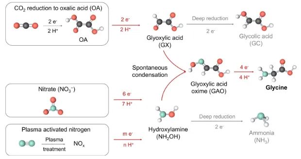 化学所JACS: OA和NO3−/NOx在Fe-N-C上共还原，显著促进甘氨酸电合成
