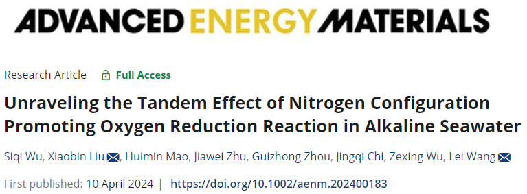 王磊/刘晓斌AFM：揭示碱性海水中氮构型促进氧还原反应的串联效应