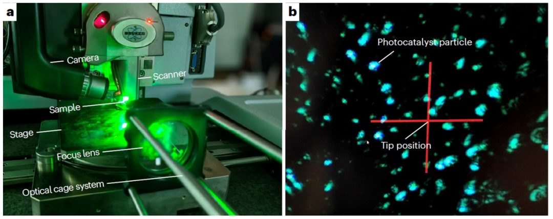 李灿院士团队最新Nature Protocols：教你如何使用表面光电压显微镜！