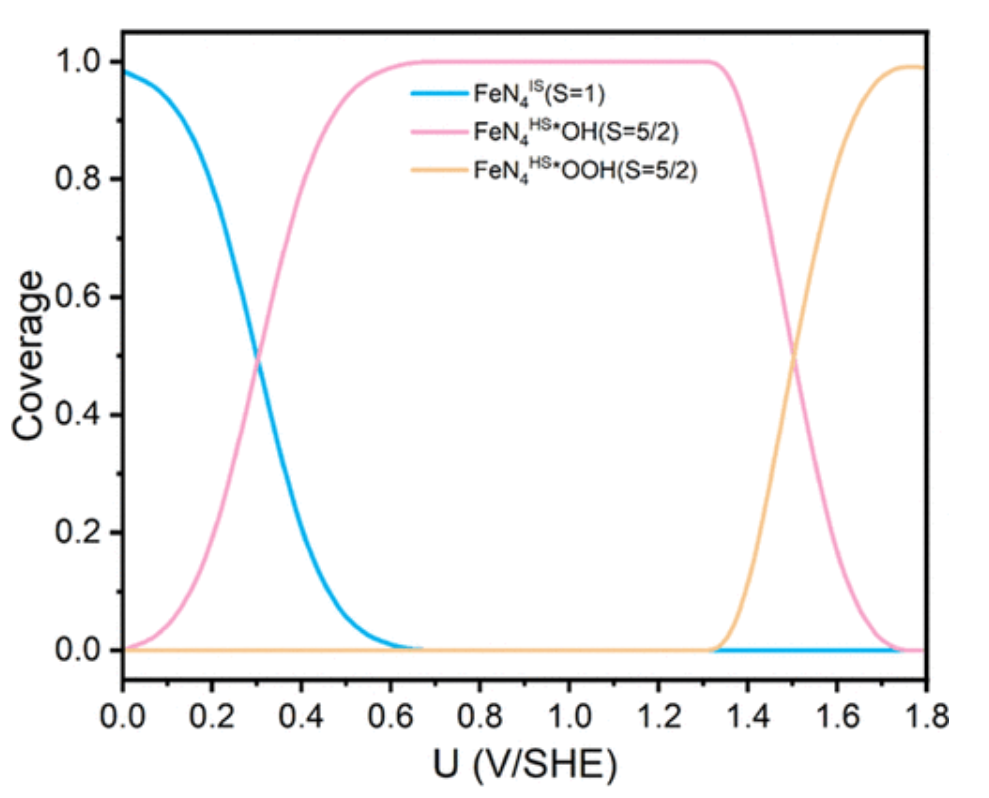 ACS Catalysis：Fe–N–C催化OER/ORR中自旋态演化的影响