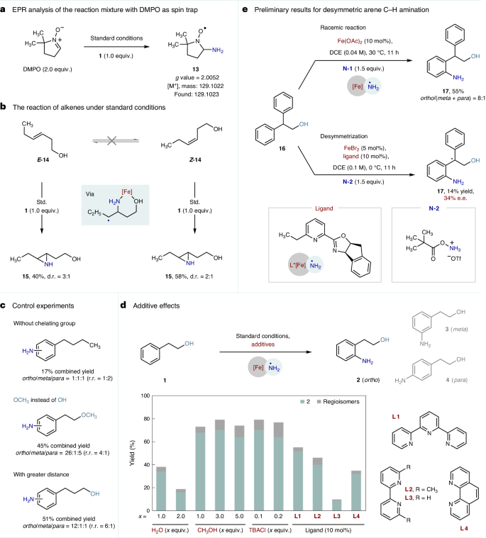 南开大学Nature Catalysis: 铁-氨基自由基实现高选择性芳烃C-H胺化反应