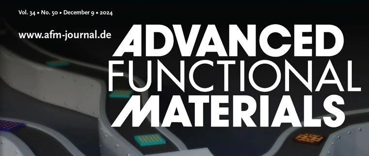 福州大学，新发AFM！