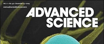 陈少伟Adv. Sci.: 快速合成碳负载Ru-RuO2异质结，用于高效催化水分解